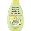 garnier-wahre-schatze-sampun-250-ml-hessas-temizlik