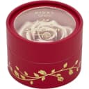 rlm-rosy-heaven-highlighter-rose