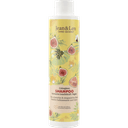 jean-len-sampun-300-ml-boyali-saclar