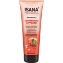 isana-prof-sampun-250-ml-boyali-saclar