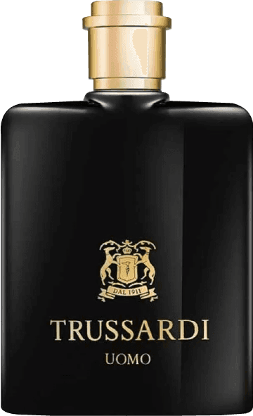Trussardi uomo 1911edt 100 ml kisi etri 