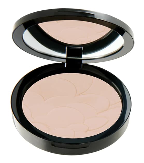 Pastel profashion advanced compact powder 20