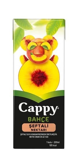 Cappy meyve siresi 200 ml saftali