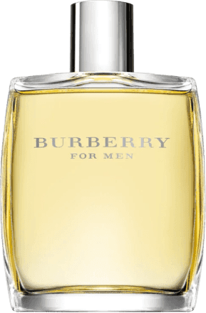 Burberry uomo edt 50 ml kisi