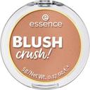 essence-blush-crush-10