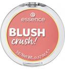 essence-blush-crush-20