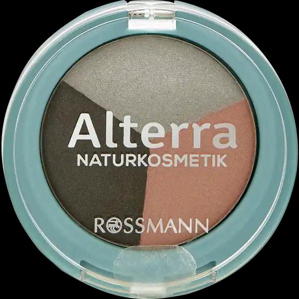alterra-trio-eyeshadow-08-smokey-seduction