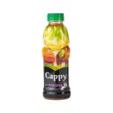 cappy-meyve-siresi-pet-500-ml-qarisiq