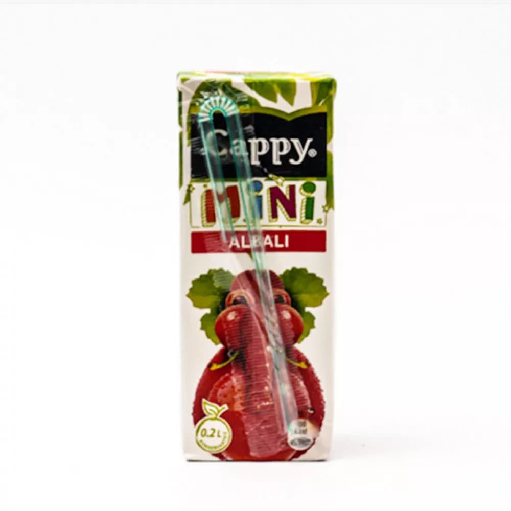 Cappy meyve siresi 200 ml albali