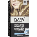 isana-sac-boyasi-intensive-color-87