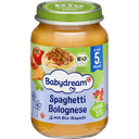 babydream-usaq-puresi-spagetti-balonez-190qr