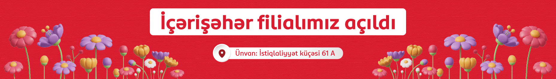banner-image-fifth